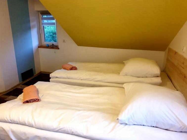 B&B Villa Varmia Frombork Bagian luar foto